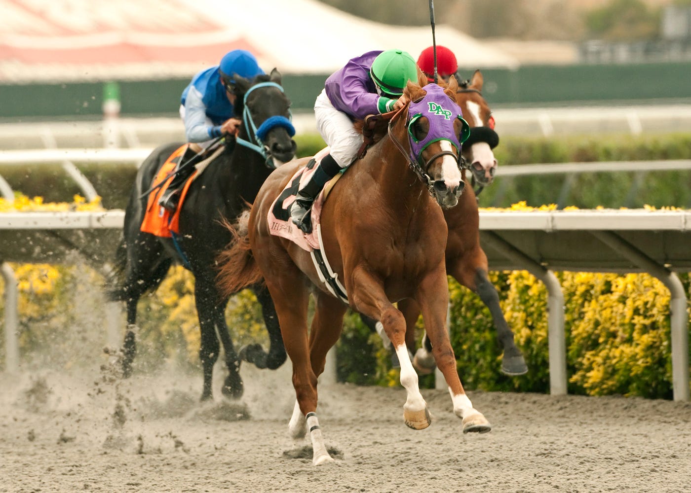 Del Mar Futurity next for California Chrome